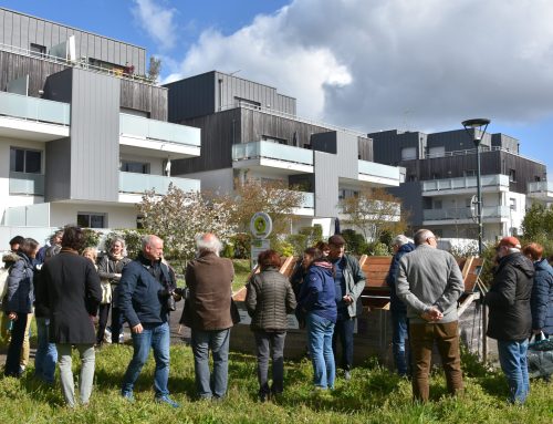 Le printemps bat son plein chez Compostri 🌱